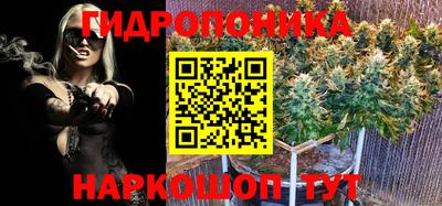 индика Ливны