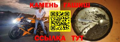 индика Ливны