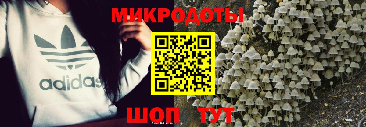 Галлюциногенные грибы мицелий  Псилоцибиновые грибы прущие грибы  Дзержинск  Вход с VPN 